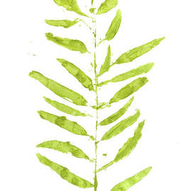 Painted Gum by Jorgo Photography