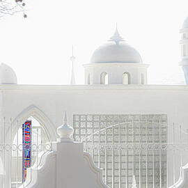 Palacio del Sol Chapala Mexico by Tommy Farnsworth