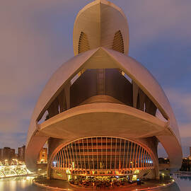 Palau de les Arts Reina Sofia, Valencia by Adrian Hendroff