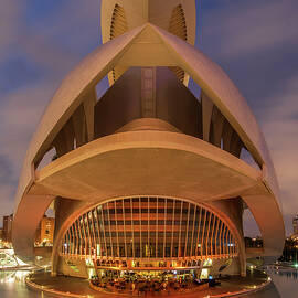 Palau de les Arts Reina Sofia, Valencia - Portrait Version by Adrian Hendroff