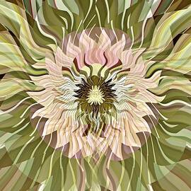 Pale Pink Floral by David Manlove