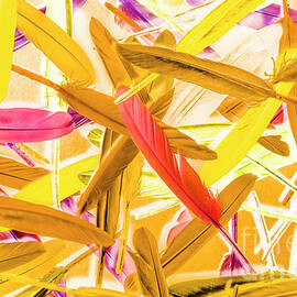 Palletry Plumes by Jorgo Photography