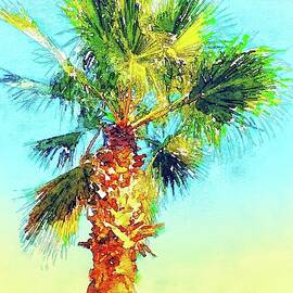 Palm tree in the morning light, Arizona - watercolor by Tatiana Travelways