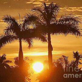 Palm Trees at Sunset by Donn Ingemie