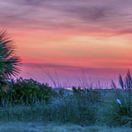 Palmetto Sunrise by Maryanne Keeling