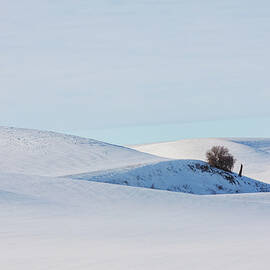 Palouse snow-covered rolling hills in winter by Tatiana Travelways