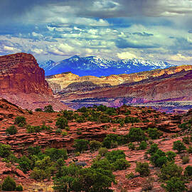 Panorama Point, Capitol Reef - Utah by Abbie Matthews