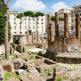 Panoramic ancient archaeological area of Largo Torre Argentina - Rome Italy by Stefano Senise