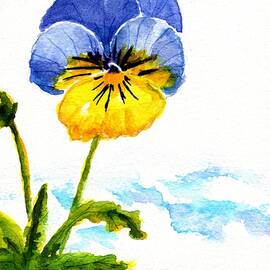 Pansy Flower in Snow  by Carlin Blahnik CarlinArtWatercolor