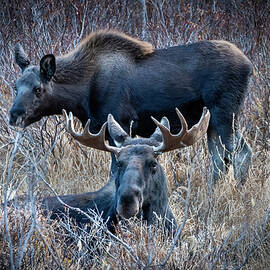 Papa and the kid by Matt Halvorson