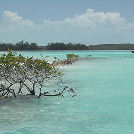 Caribbean Paradise in Turquoise Waters, Exuma Bahamas by Bonnie Colgan