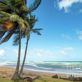 Paradise on the Coast, Pinones, Puerto Rico by Beachtown Views
