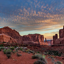 Park Avenue Sunrise by Dan Norris