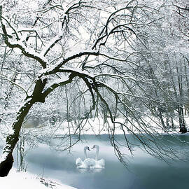 Pas de Deux by Jessica Jenney