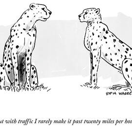 Past Twenty Miles per Hour by Sofia Warren