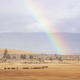 Pastoral Rainbow - Lassen County California by Mike Lee