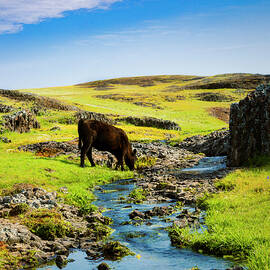 Pastoral Spring by Mike Lee