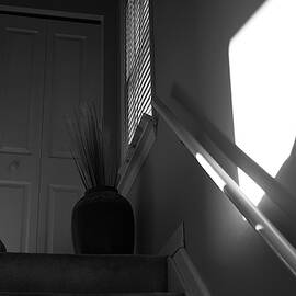 Patience by Richard Reeve