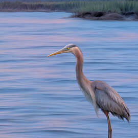 Patiently Waiting by Maryanne Keeling