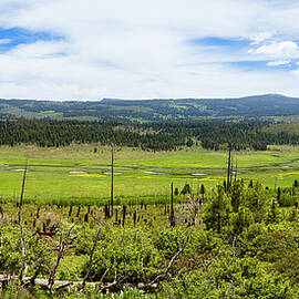 Patterson Mill Meadow Panorama by Mike Lee