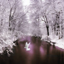 Peace on Earth   by Jessica Jenney