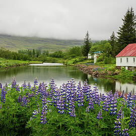 Peaceful scene in Seydisfjordur of river flowing from misty moun by Steven Heap