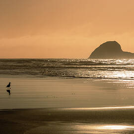 Peaceful Solitude - Trinidad State Beach - Humboldt County California by Mike Lee