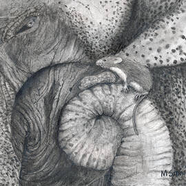 Peanut by Marie Stone-van Vuuren