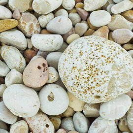 Pebbles on the beach by Neale And Judith Clark