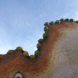 Peeking Under the Dragon Tail by Richard Reeve