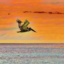 Pelican Soaring over the ocean by Bruce Block