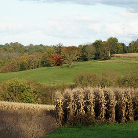 Pennsylvania Fields by Richard Reeve