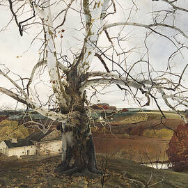 Pennsylvania Landscape by Andrew Wyeth by Dale Kincaid