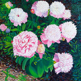Peonies by Michel Cruz-Garcia