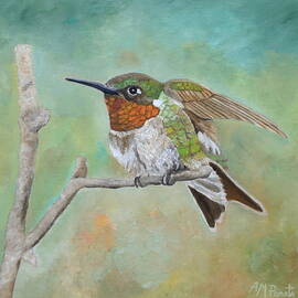 Perched In Place by Angeles M Pomata