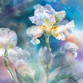 Perseverance by Amanda Amend