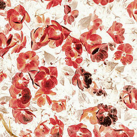 Petal Patch by Jorgo Photography