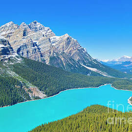 Peyto lake, Banff national Park, Alberta, Canada by Neale And Judith Clark
