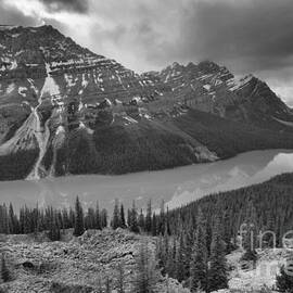 Peyto Lake Summer Storm Reflections Black And White by Adam Jewell