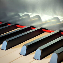 Piano Keys Reflected by Mary Lee Dereske