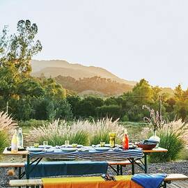 Picnic Table Set for Dinner by Laura Murray