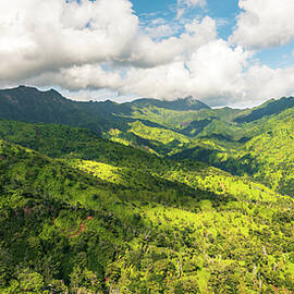 Picture Perfect by Slow Fuse Photography