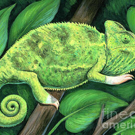 Piebald Veiled Chameleon by Rebecca Wang