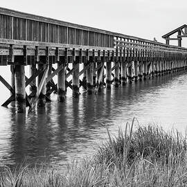 Pier Perspctive by David Fountain