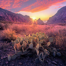 Pin Point by Slow Fuse Photography