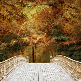 Pine Bank Autumn by Jessica Jenney