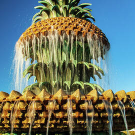 Pineapple Fountain Charleston by Louis Dallara