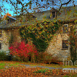 Pink At The Mill by Adam Jewell