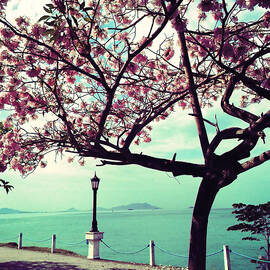 Pink Guayacan 2 by Onedayoneimage Photography