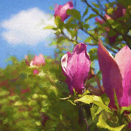 Pink Magnolias by Tatiana Travelways